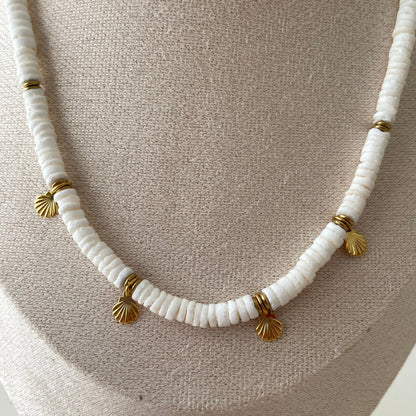 Collier Coquillage
