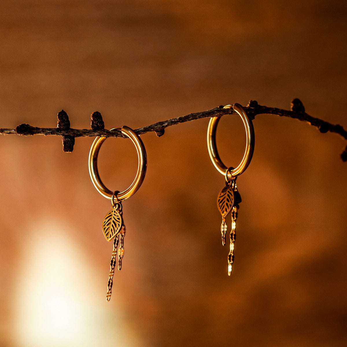 Boucles feuille goldstone