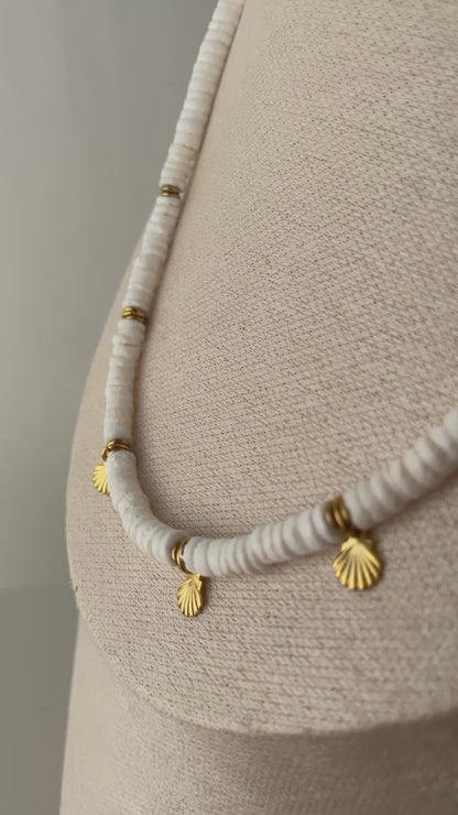Collier Coquillage