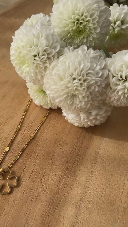 Collier Porte bonheur